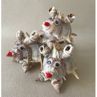 Mouse pyramid Murex by 6