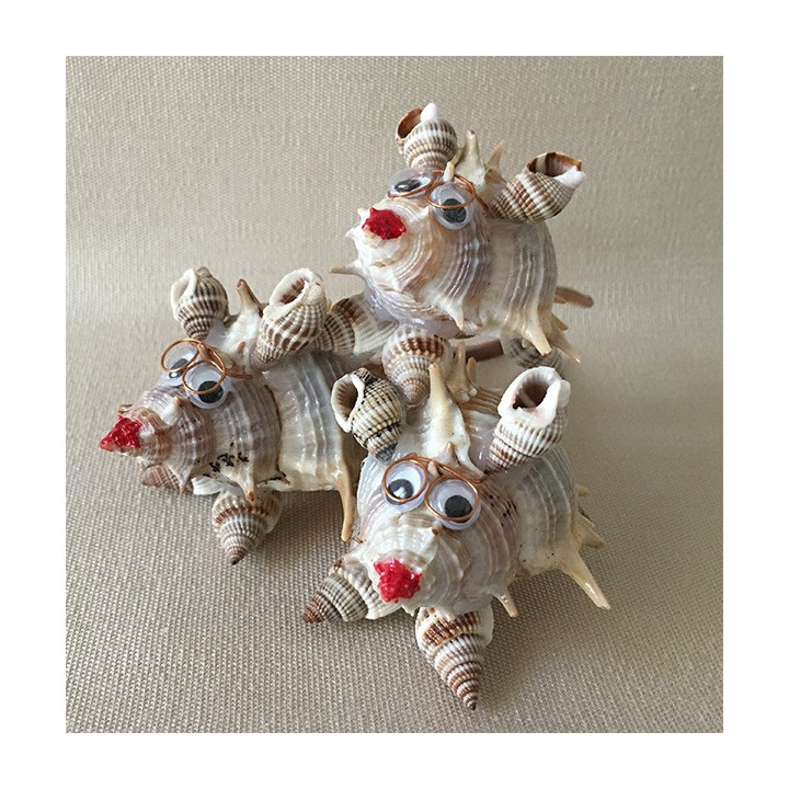 Mouse pyramid Murex by 6