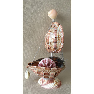 Boat Shells with Harpa 16cm by 6