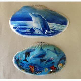 Clam nacre Déco mer 24/26cm 2 modèles par 2