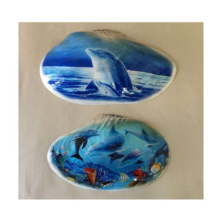 Clam nacre Déco mer 24/26cm 2 modèles par 2