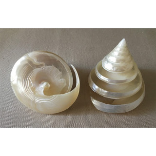 Trocha pyramide nacrée spirale 5/7cm par 12