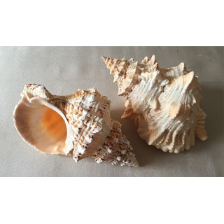 Bursa Bubo 18/20cm by 3