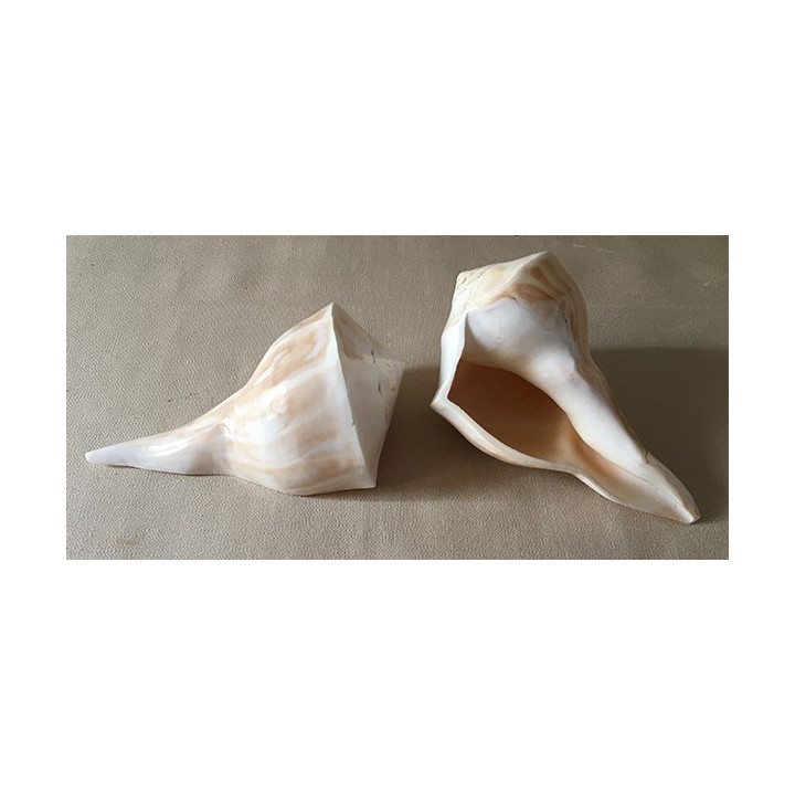 Polished busicom 18/20cm by 6