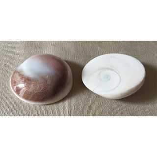 Opercule de Burgo Poli 4/5cm lot de 12