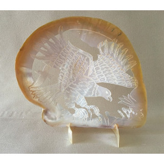 Huître Perlière Sculptée Aigle 15/20cm lot de 1