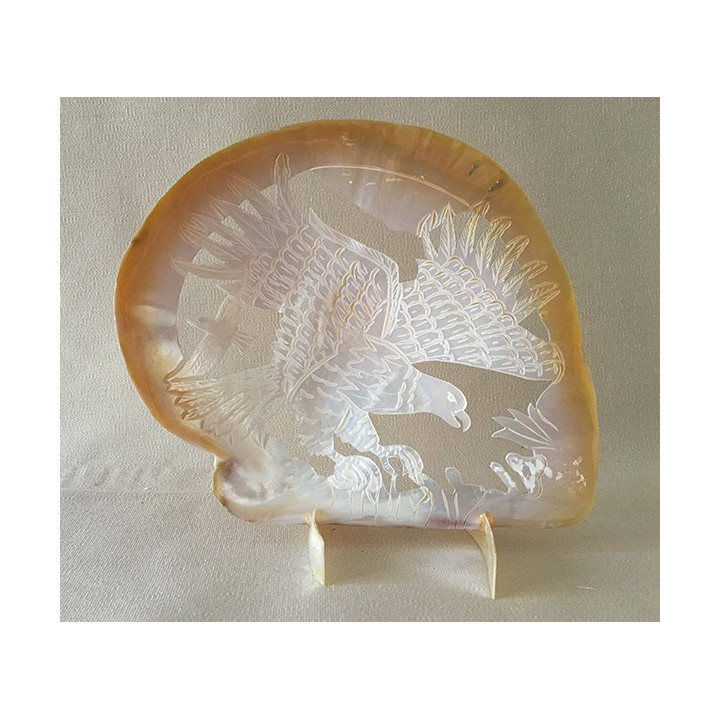 Huître Perlière Sculptée Aigle 15/20cm lot de 1