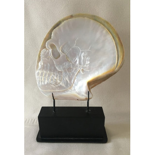 Oyster Carved Pearl "Death Head" 22/24CM On Base