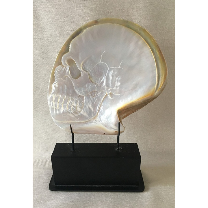Huître Perlière Sculptée "Tête de Mort" 22/24CM Sur Socle