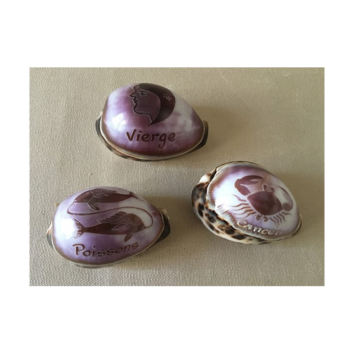 Cypraea Engraved Zodiac 7/8cm lot of 48