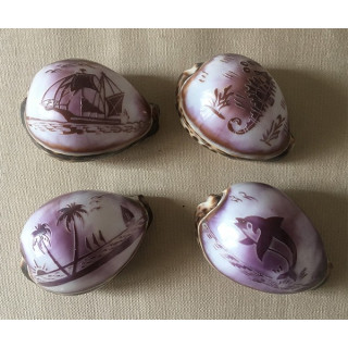 Cypraea Engraved Miscellaneous Decorations by 25