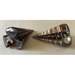 Télescopium Poli Strié 5/6cm par 12