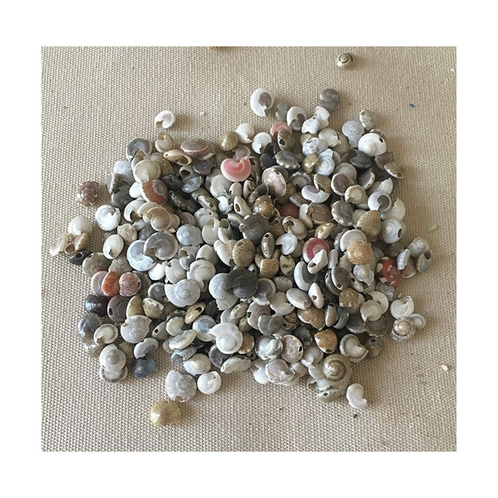 Mini perforated shells lot of 500grs