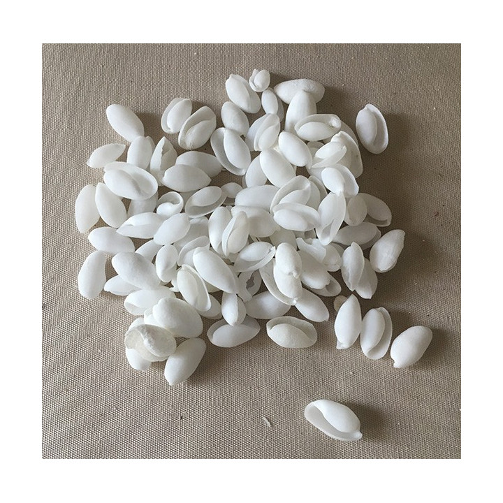 White Bubbles 0.8/1.3cm lot de 2kg