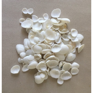 White CayCay 0.5cm by 2kg