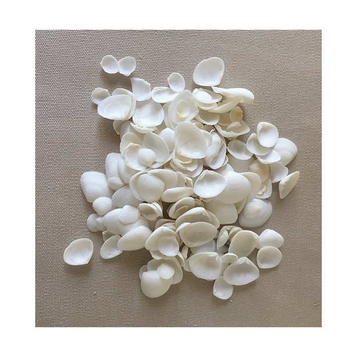 White CayCay 0.5cm lot de 2kg