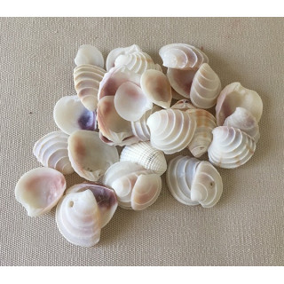 Placamen Blanc 1cm lot de 2kg