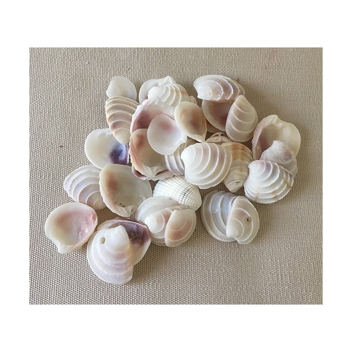 Placamen Blanc 1cm lot de 2kg