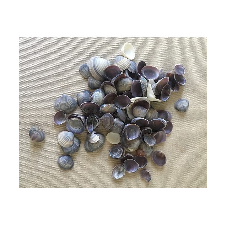 Cay Cay Violette 0.5cm lot de 2kg