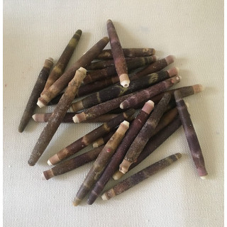 Piquant Oursin Crayon 3/7cm lot de 2kg