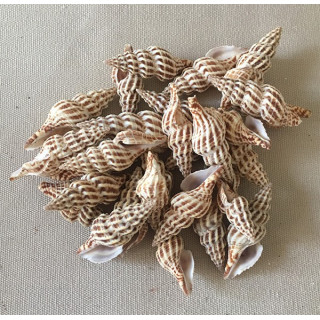 Mini Fuseau Stries 3.5/4.5cm lot de 500g par 2