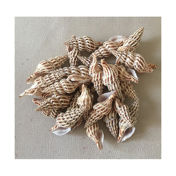 Mini Fuseau Stries 3.5/4.5cm 1kg lot