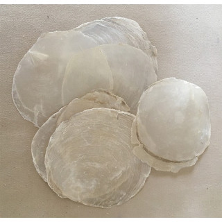 Natural Capiz 11/13cm by 2kg