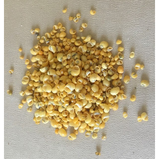 Mango Jaune Mini Sachet de 500grs