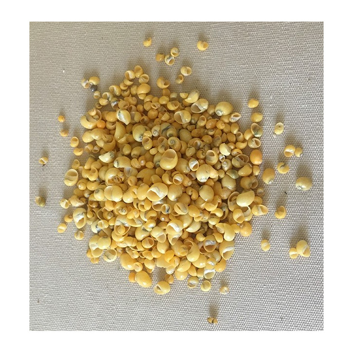 Mango Jaune Mini Sachet de 500grs