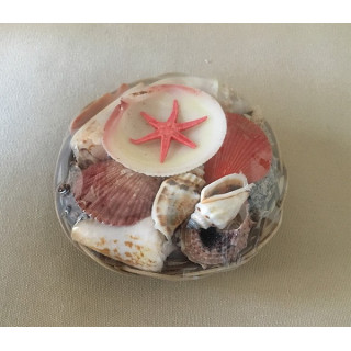10cm basket filled with shells by 25