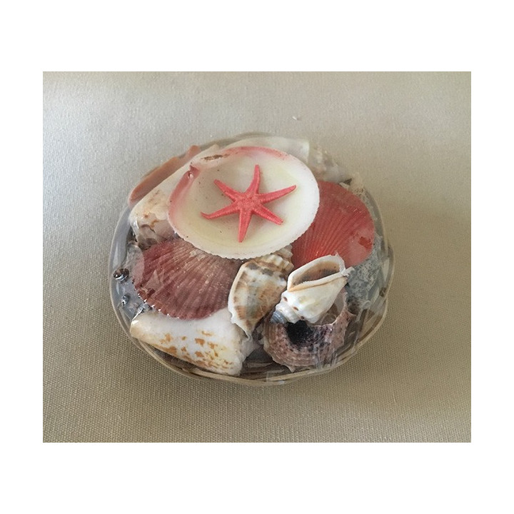 10cm basket filled with shells by 25