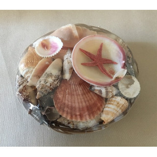Lot of 100 baskets filled with shells 15cm 