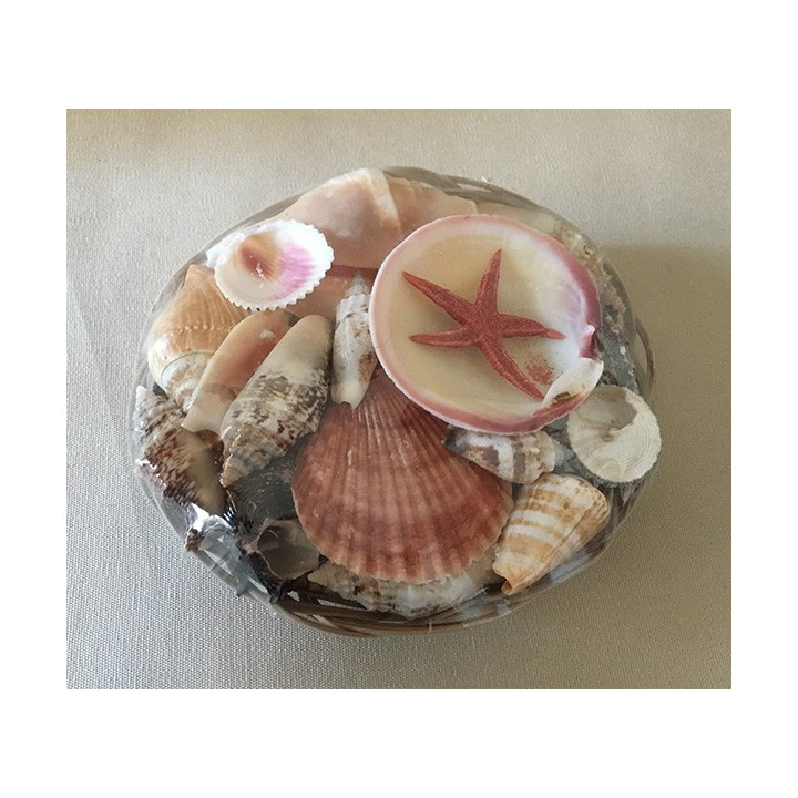 Lot of 100 baskets filled with shells 15cm 