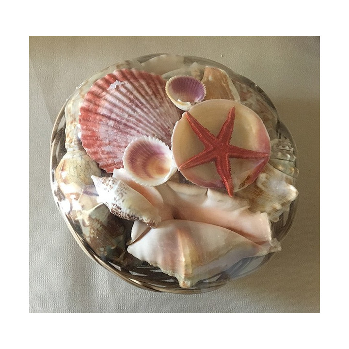 20cm basket filled with shells