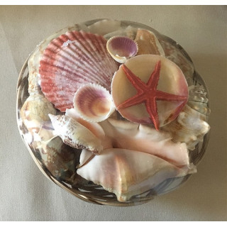 Lot of 100 baskets filled with shells 20cm 
