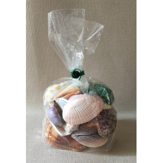 Sachet bonbon et coquillages lot de 6