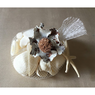 Filet coquillages blancs fleur de coco par 12