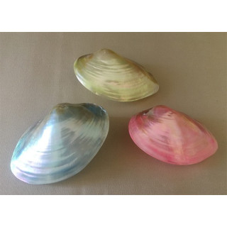 CLAM COLORE CA 10/13cm