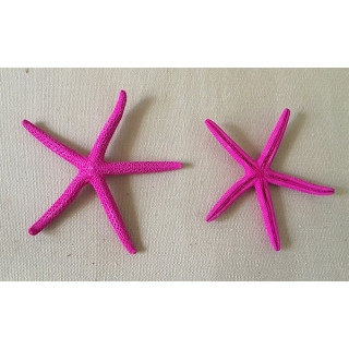 Star Long Bras Rose 8/10cm lot of 25