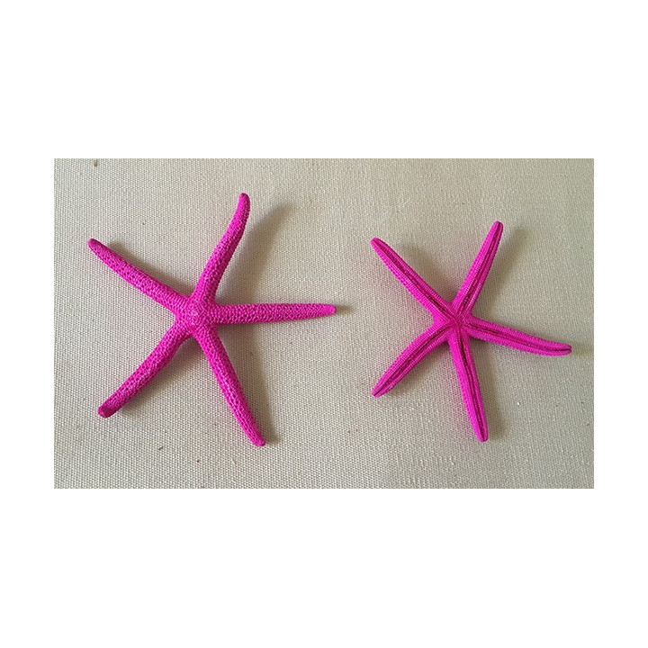 Star Long Bras Rose 8/10cm lot of 25