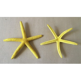 Etoile Long Bras Jaune 8/10cm lot de 25