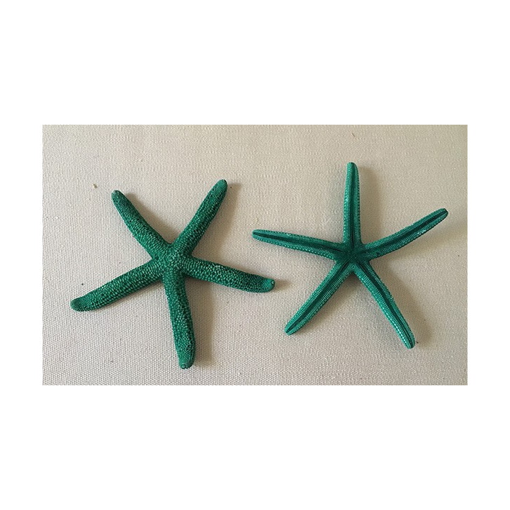 Etoile Long Bras verte 8/10cm lot de 25