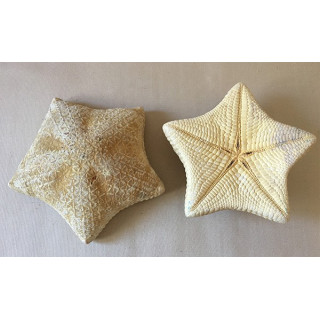 Star of Sea Coussin 20/25cm lot of 3