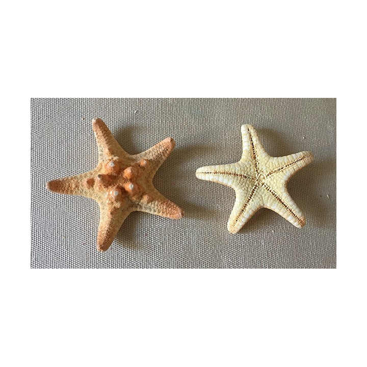 Mini Star Natural Rhino lot of 100