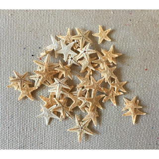Star of Sea Plate Mini 1/1.5cm lot of 1000