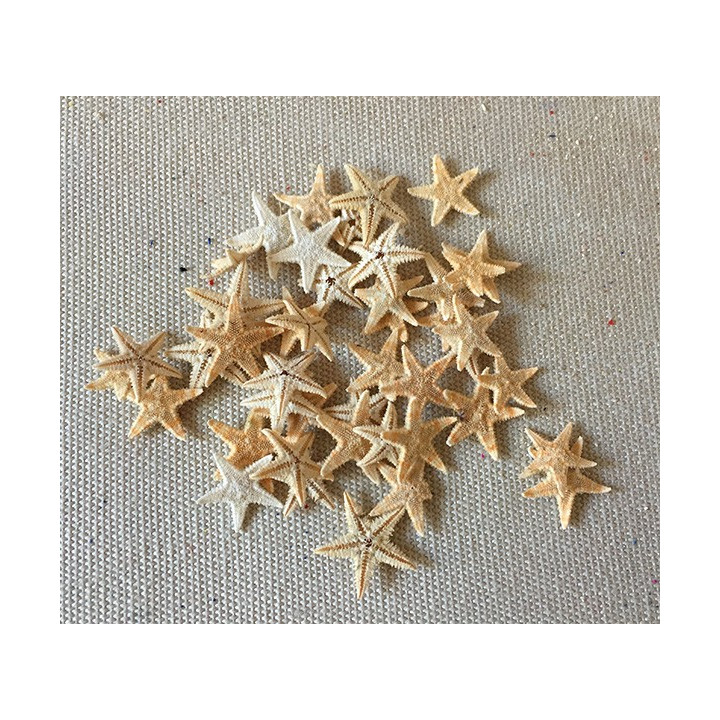 Star of Sea Plate Mini 1/1.5cm lot of 1000