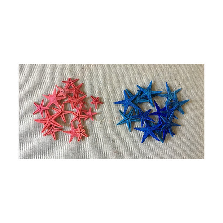 Etoile de Mer 1/3cm  Bleue ou Rouge (paquet de 100)