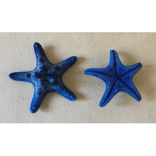 Blue Colored Rhino Sea Star 5/7cm lot of 100