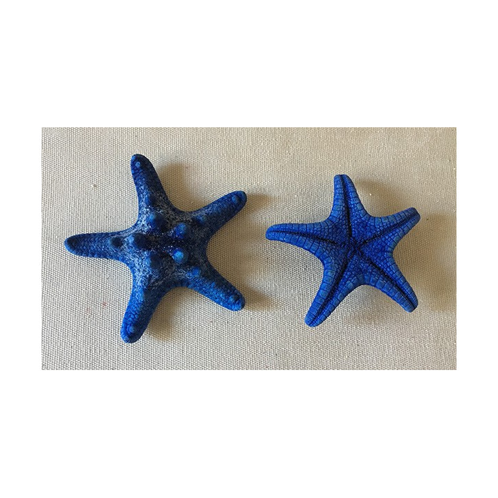 Etoile de Mer Rhino Colorée Bleue 5/7cm lot de 100