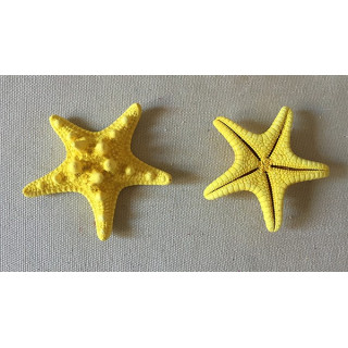 Star of Sea Rhino Colored Yellow 5/7cm lot of 100